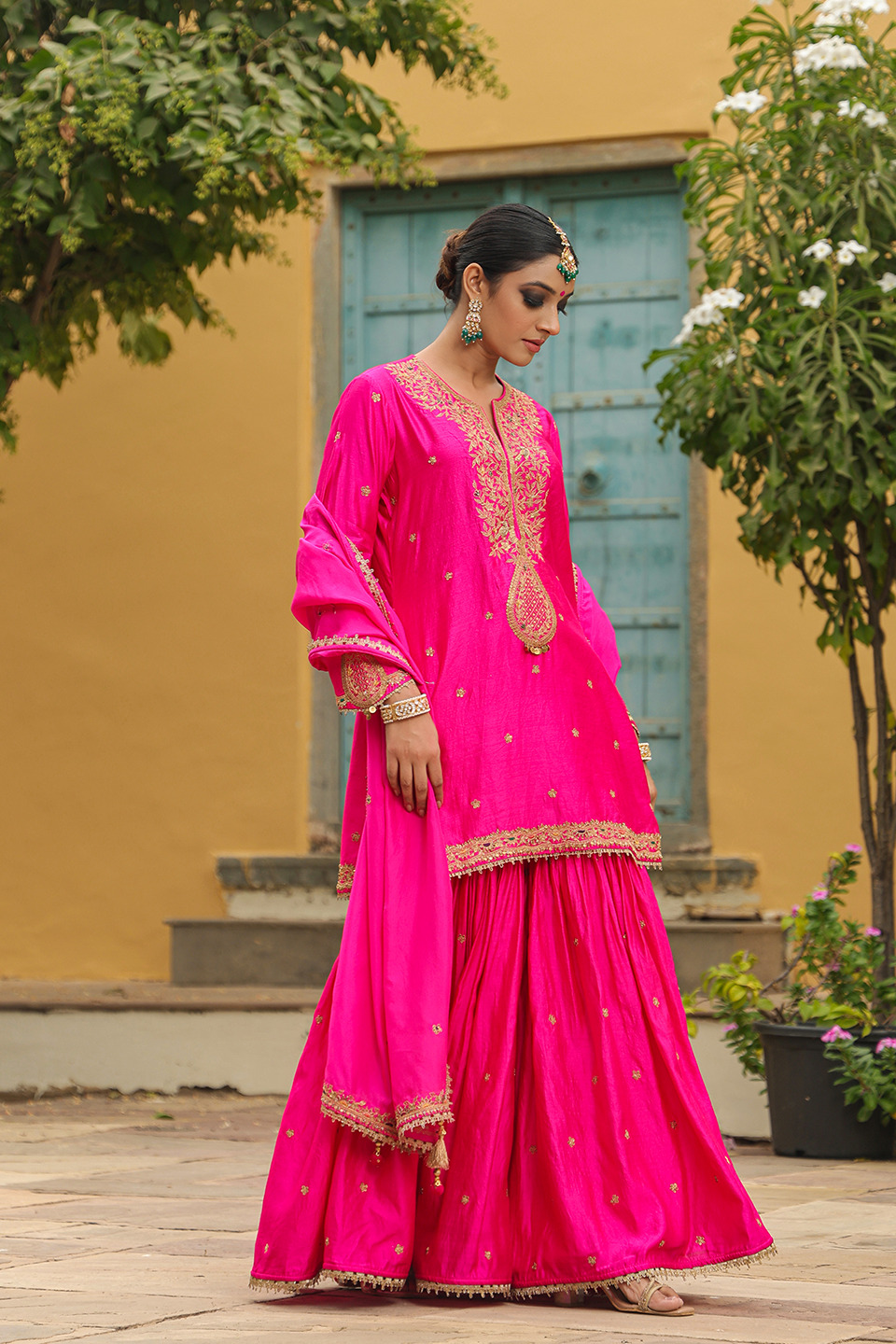 Bird Embroidered Sharara Light