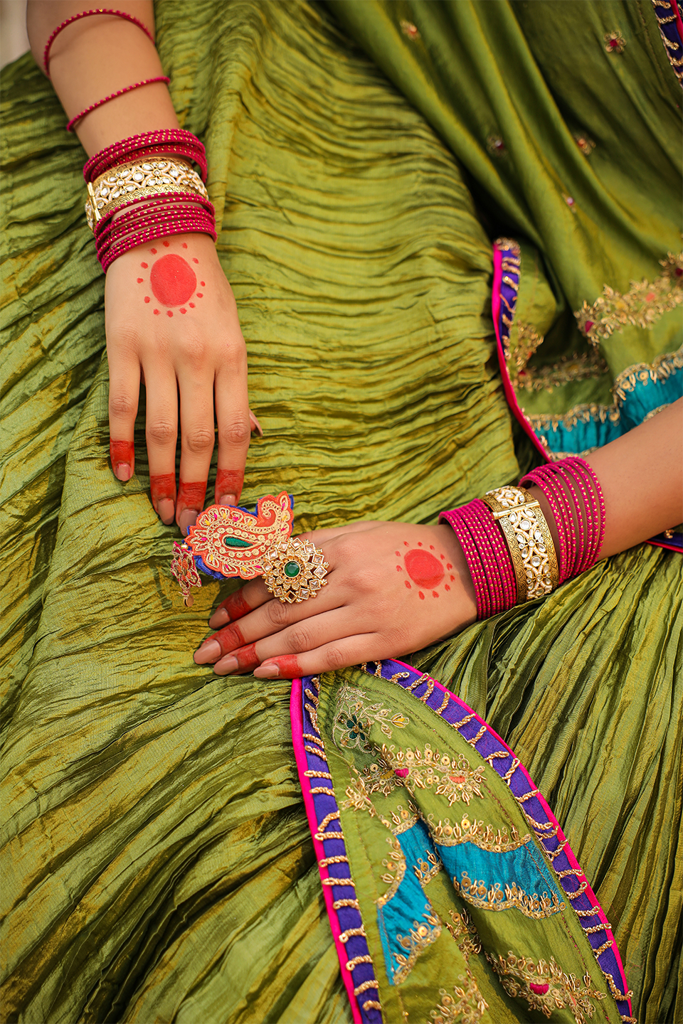 Multi Colour Bird Embroidered Crushed Lehenga