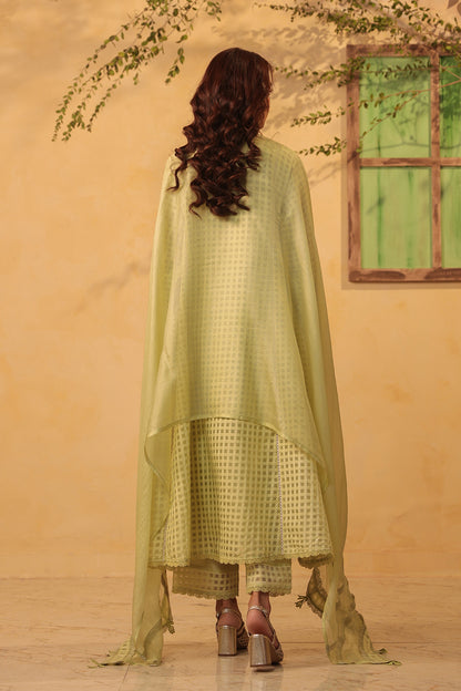 Vaayu Green Panelled Kalidar Set