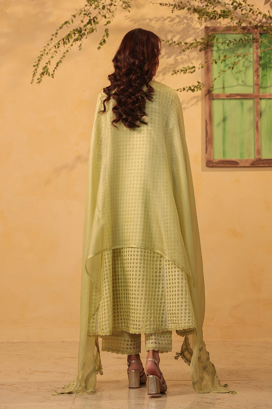 Vaayu Green Panelled Kalidar Set