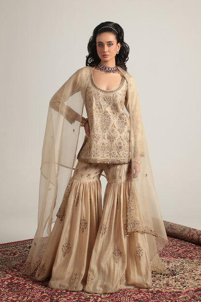 Zar:Rang Ivory Sharara Set