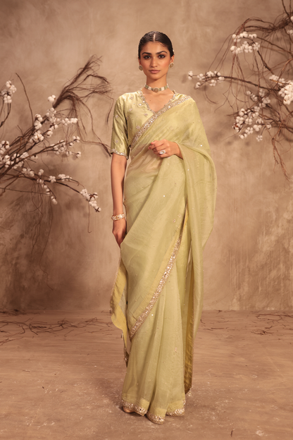 Nazakat Light Green Organza Mirror Work Saree Set