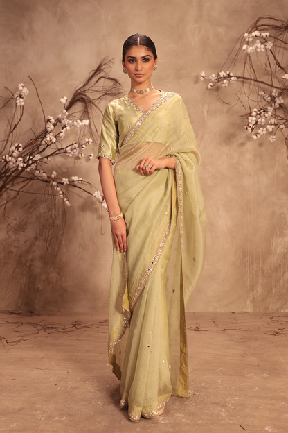 Nazakat Light Green Organza Mirror Work Saree Set