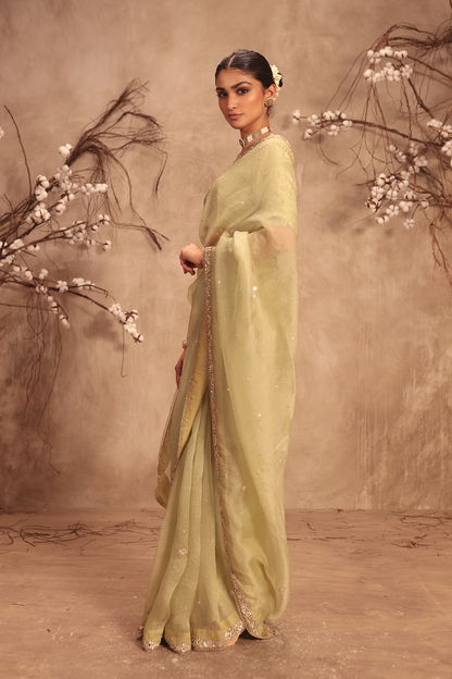 Nazakat Light Green Organza Mirror Work Saree Set