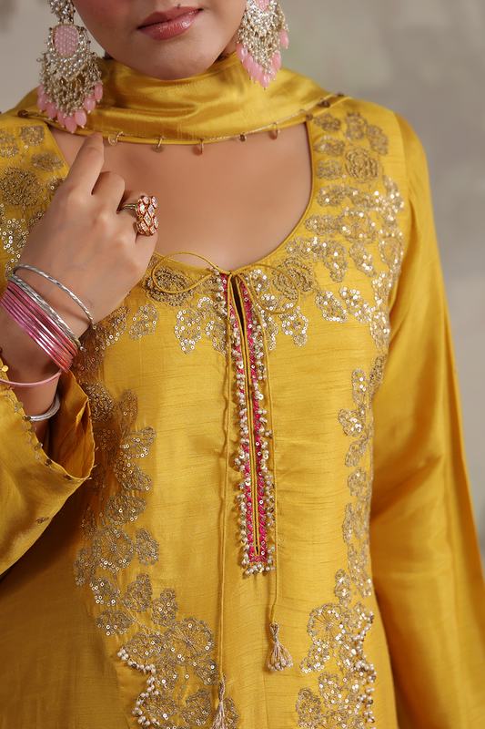 Roselyn Neck Embroidered Kurta Set