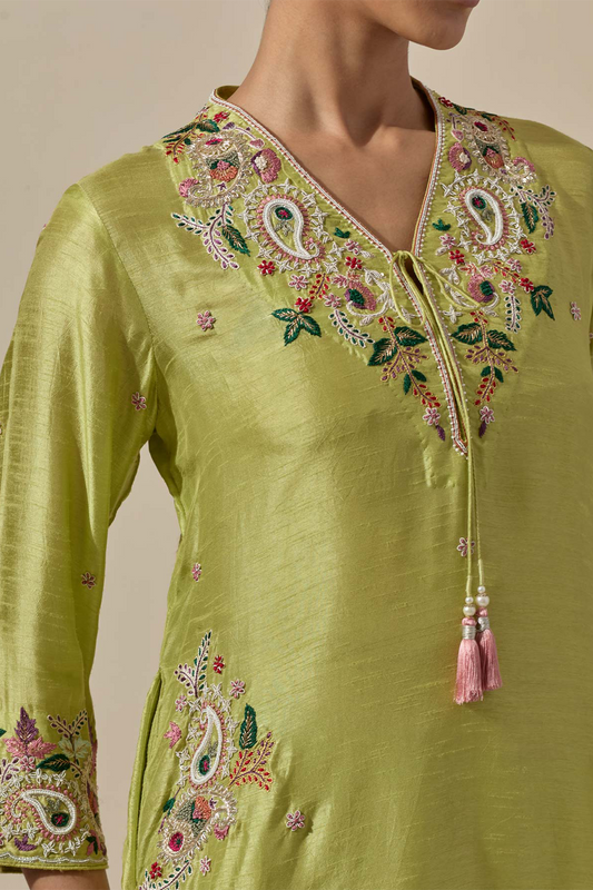 Resham Pastel Green Zardozi Paisely Pocket Style