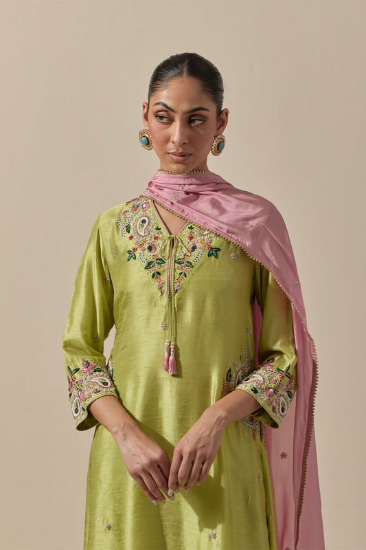 Resham Pastel Green Zardozi Paisely Pocket Style