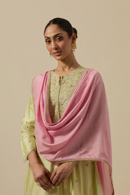 Bird Embroidered Long Kurta Pastel Green + Pastel Pink