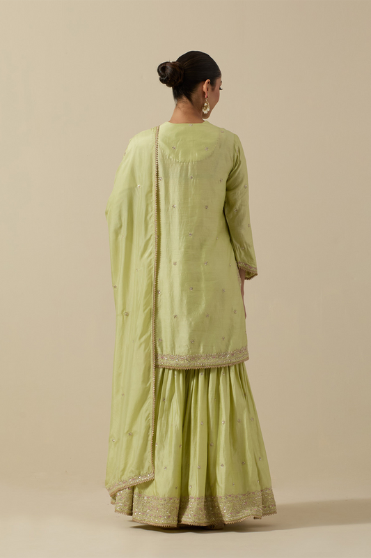 Bird Sharara Silver Work Mint Green