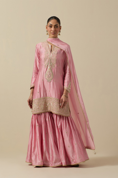 Bird Sharara Silver Work Pastel Pink