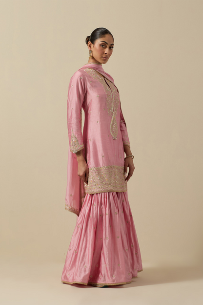 Bird Sharara Silver Work Pastel Pink