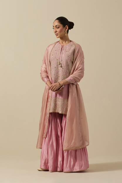 Bird Heavy Sharara Checks Powder Pink