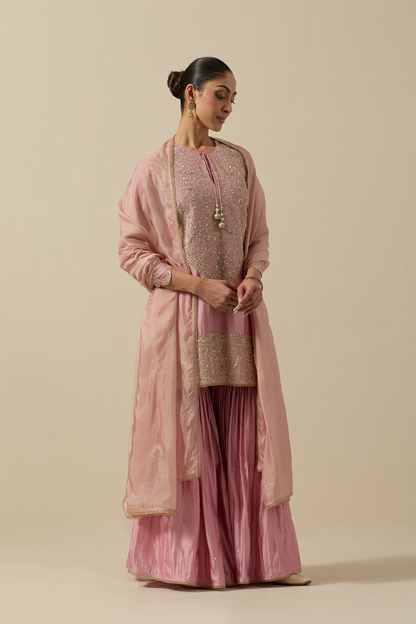 Bird Heavy Sharara Checks Powder Pink