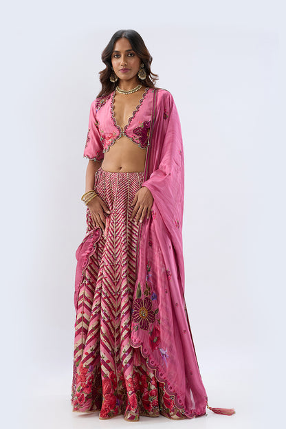 Blossom Pink Striped Lehenga Set