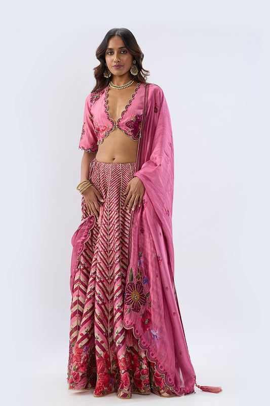 Blossom Pink Striped Lehenga Set