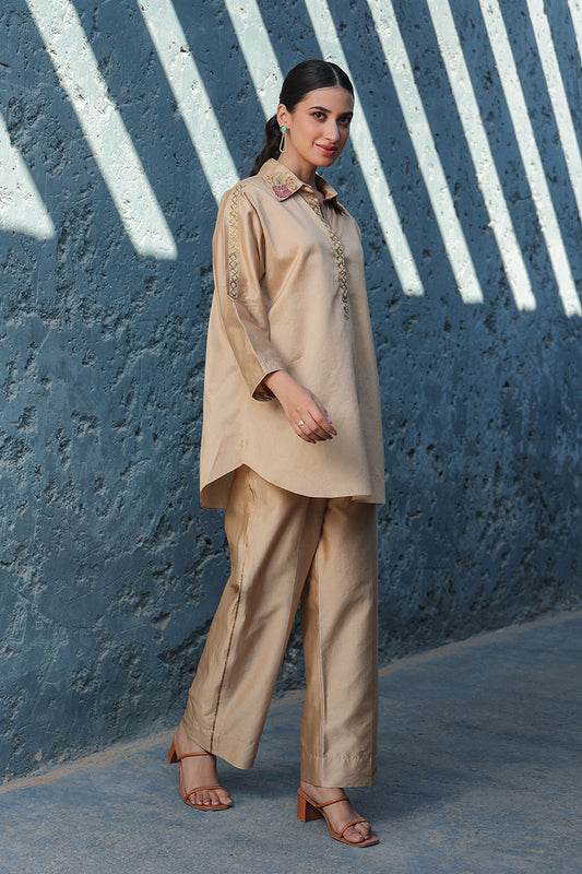 Beige Zardosi Applique Collar Co-ord Set