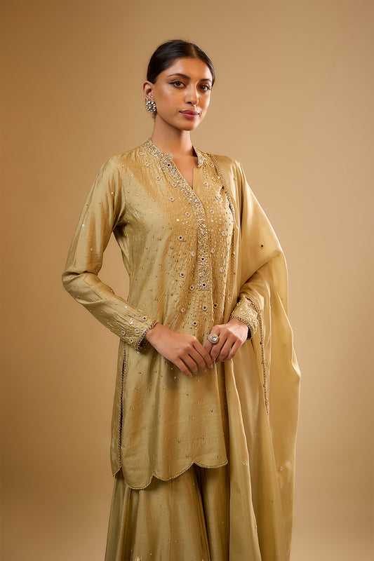 Nazakat Light Green Heavy Mirror Work Sharara Set