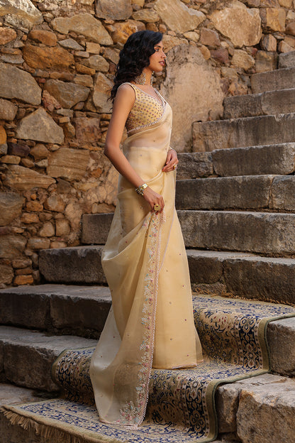 Vaayu Beige Multicolor Butti Saree Set