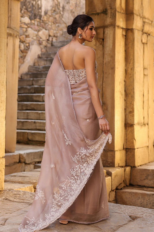 Vaayu Taupe Applique Corset Saree Set