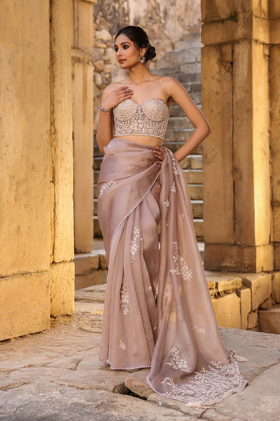 Vaayu Taupe Applique Corset Saree Set