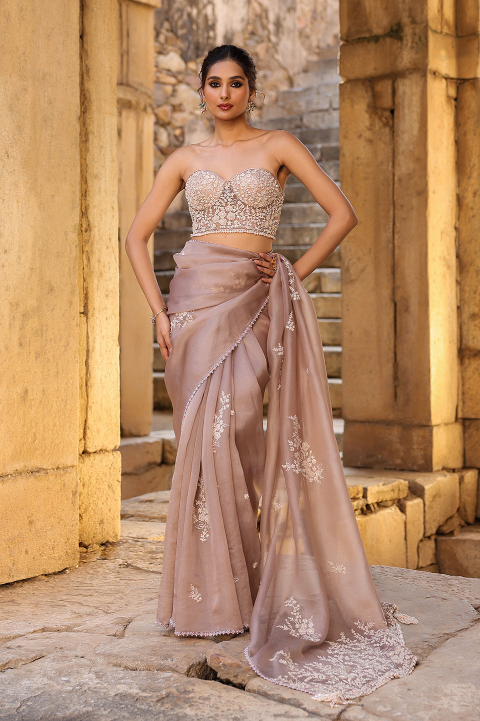 Vaayu Taupe Applique Corset Saree Set