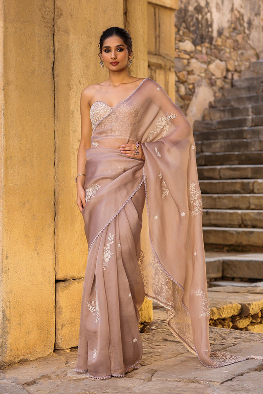 Vaayu Taupe Applique Corset Saree Set
