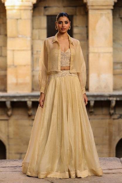 Vaayu Beige Jacket Lehenga Set