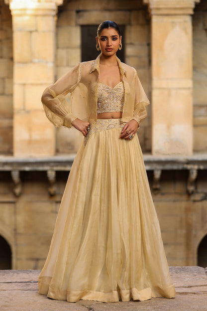 Vaayu Beige Jacket Lehenga Set