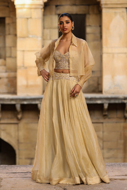 Vaayu Beige Jacket Lehenga Set