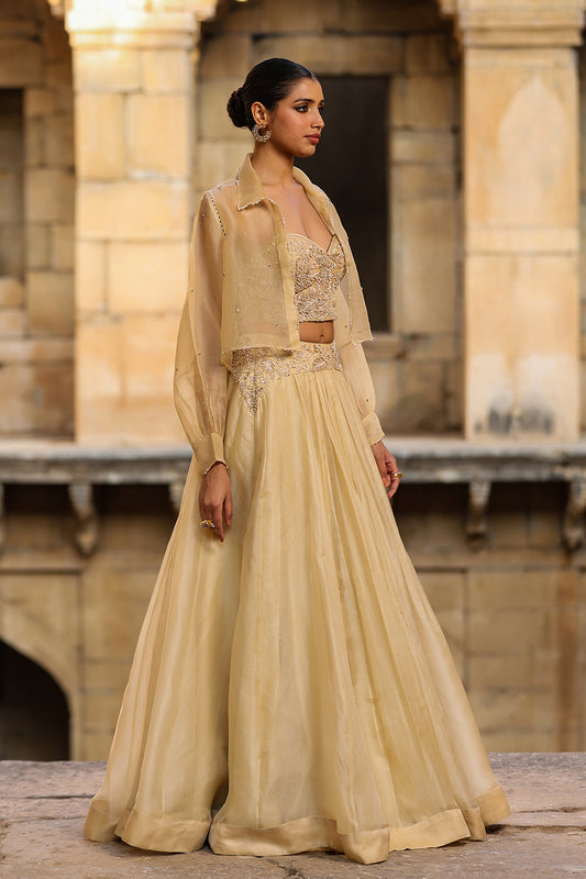Vaayu Beige Jacket Lehenga Set