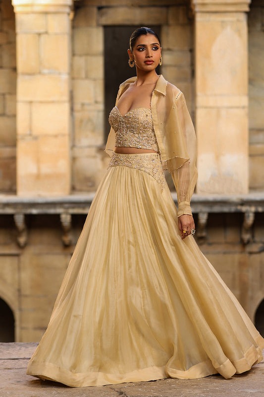 Vaayu Beige Jacket Lehenga Set