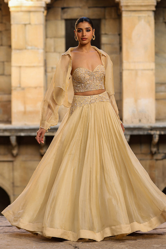 Vaayu Beige Jacket Lehenga Set