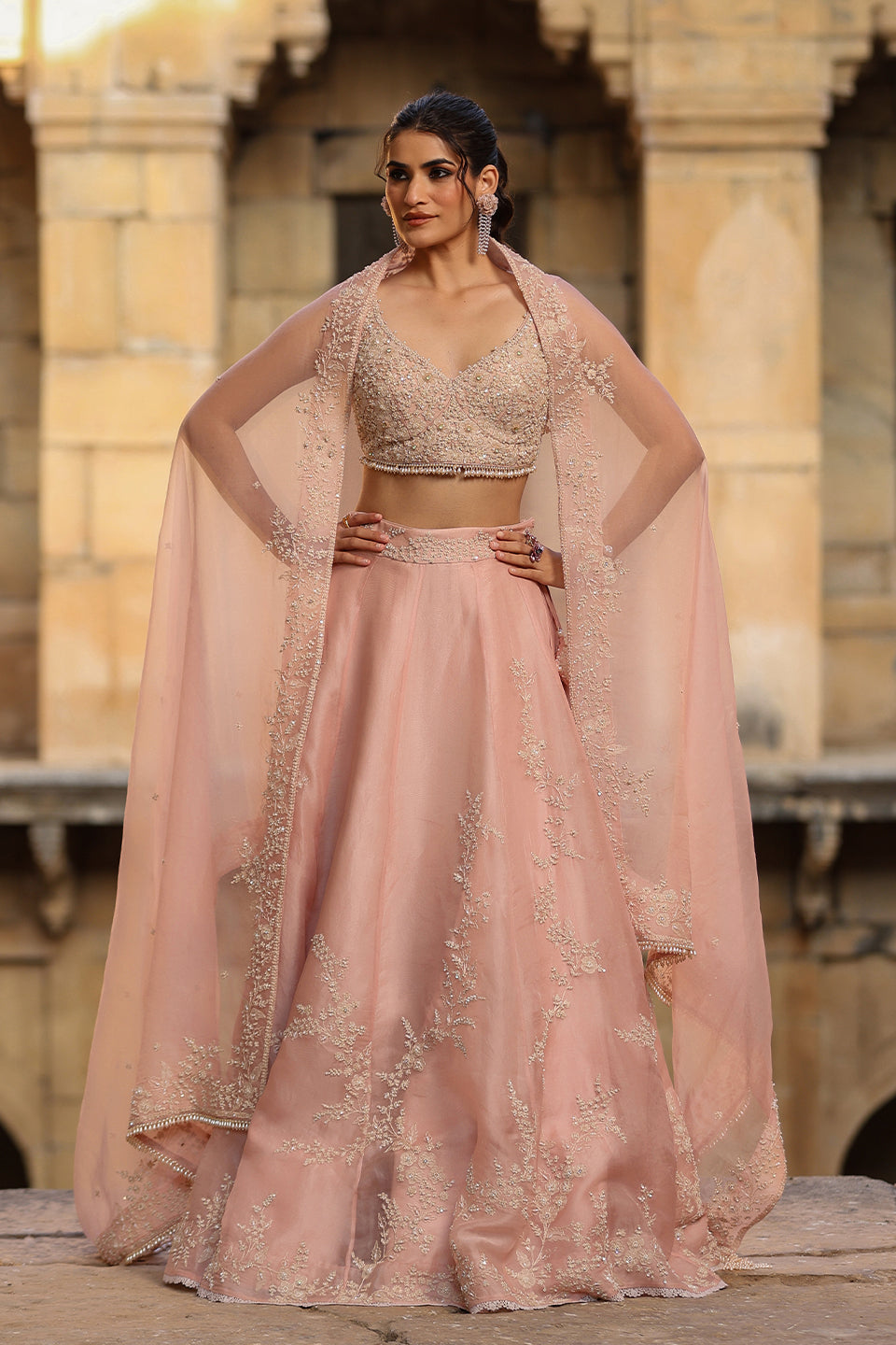 Vaayu Light Pink Jaal Lehenga Set