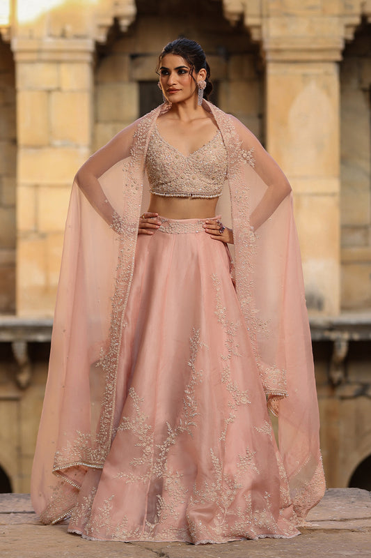 Vaayu Light Pink Jaal Lehenga Set