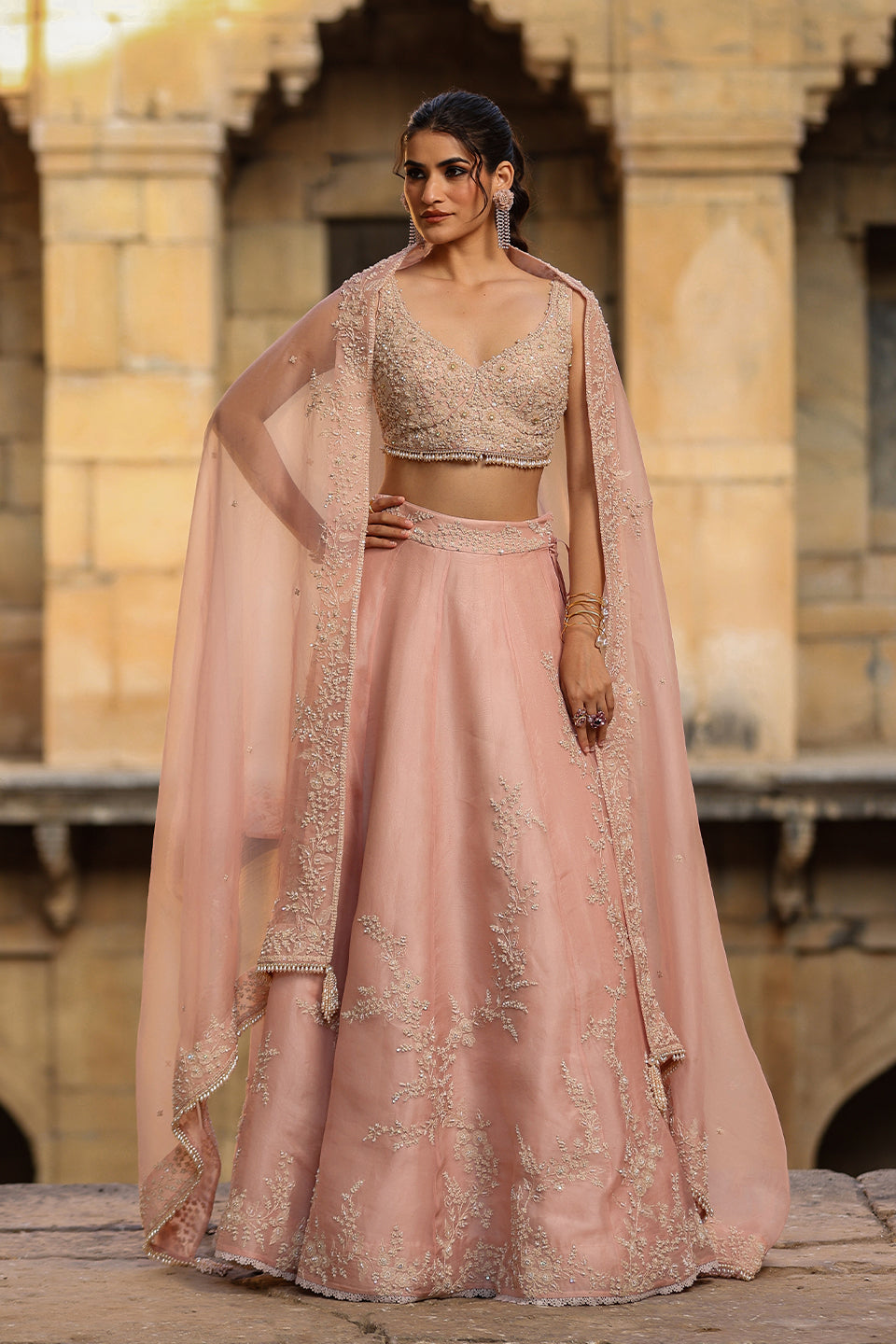 Vaayu Light Pink Jaal Lehenga Set