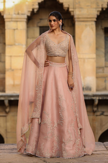 Vaayu Light Pink Jaal Lehenga Set