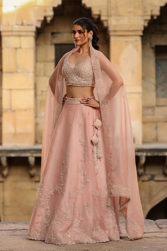 Vaayu Light Pink Jaal Lehenga Set