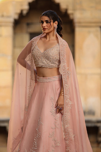 Vaayu Light Pink Jaal Lehenga Set