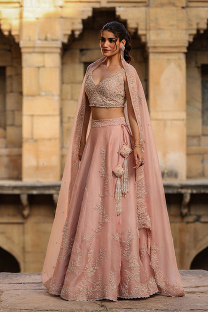 Vaayu Light Pink Jaal Lehenga Set