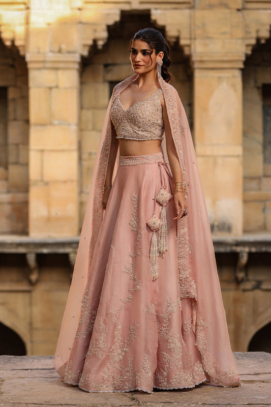 Vaayu Light Pink Jaal Lehenga Set