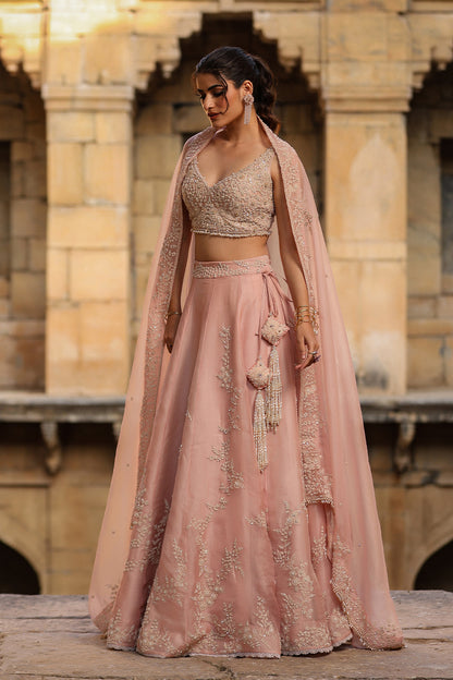 Vaayu Light Pink Jaal Lehenga Set
