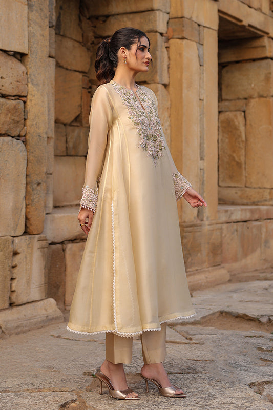 Vaayu Beige Pheran Kurta Set