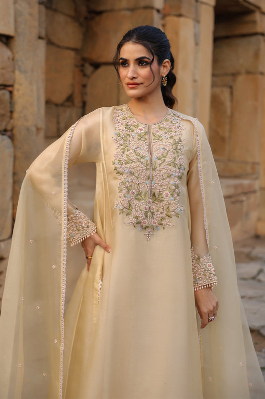 Vaayu Beige Pheran Kurta Set