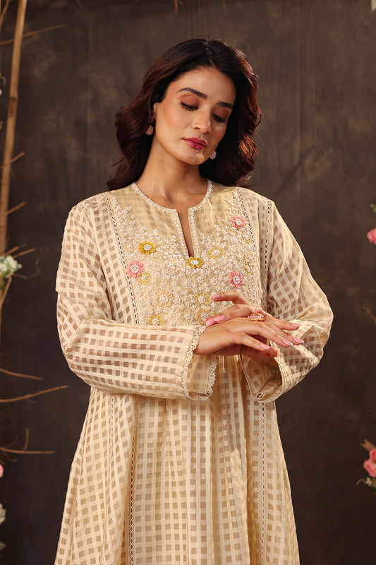 Vaayu Beige Panelled Kalidar Set