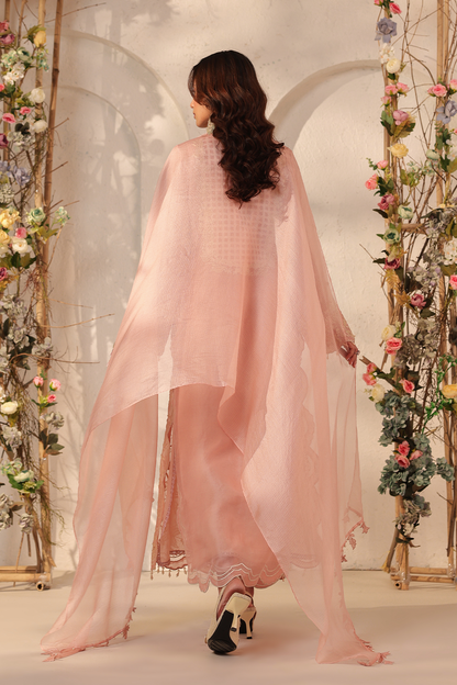 Vaayu Light Pink Heavy Jaal Scallop Kurta Set