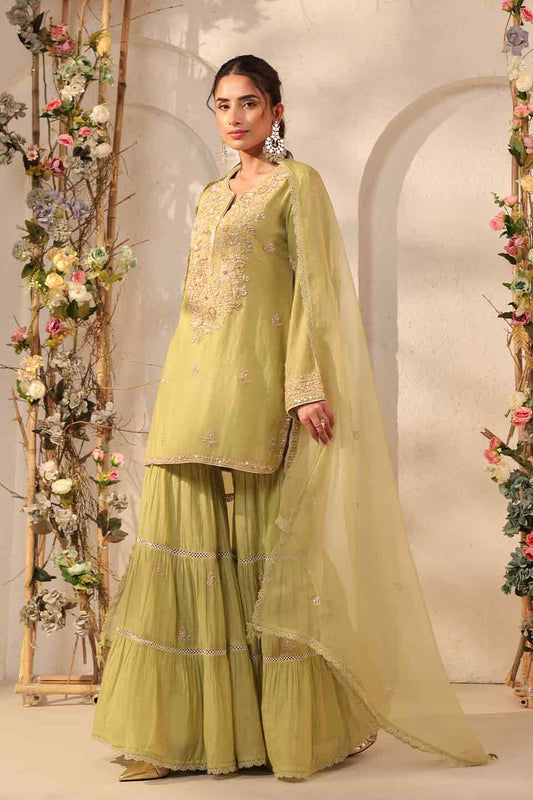 Vaayu Green Sharara Set