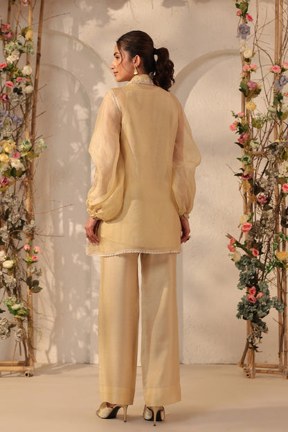 Vaayu Beige Jacket Co-ord Set