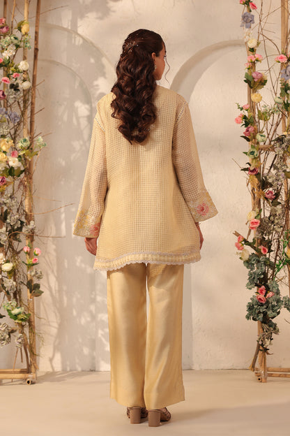 Vaayu Beige Applique Co-ord Set