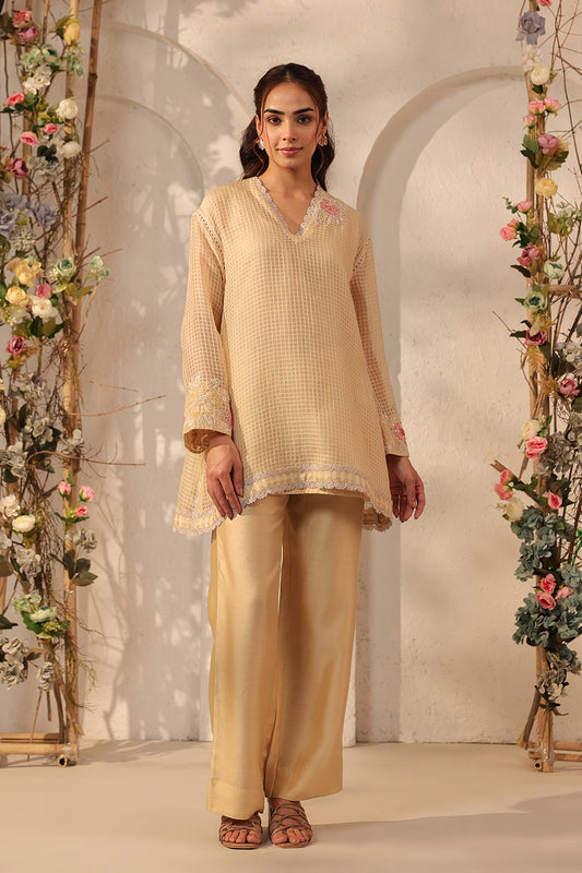 Vaayu Beige Applique Co-ord Set