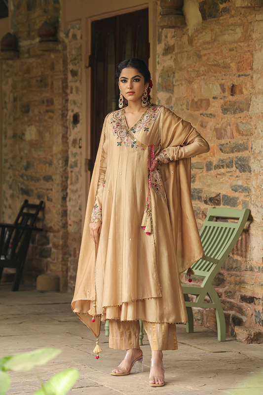 Zardozi Paisley Anarkali